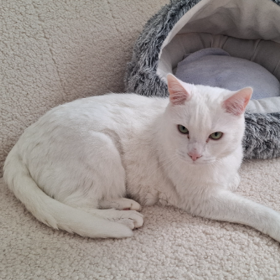 photo-chat-casper