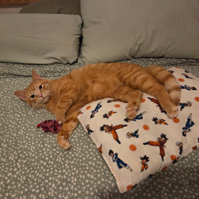 photo-chat-tonny