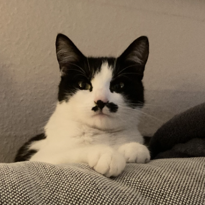 photo-chat-kimmy