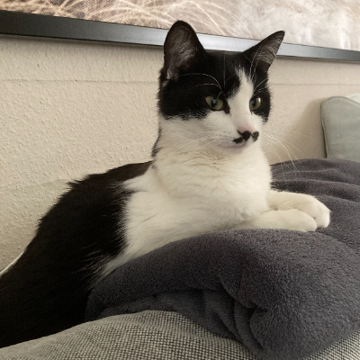 photo-chat-kimmy