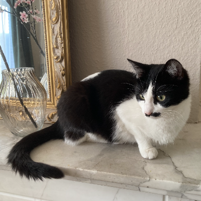 photo-chat-kimmy