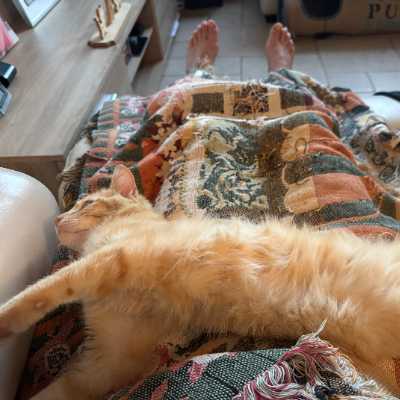 photo-chat-rouky