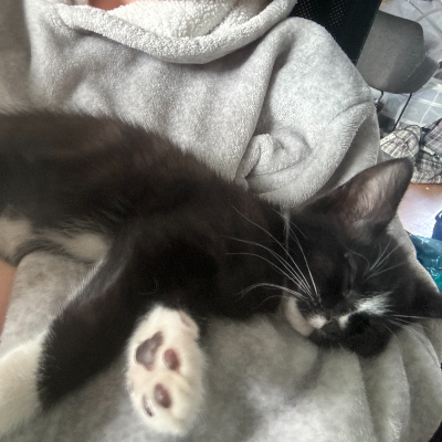 photo-chat-may