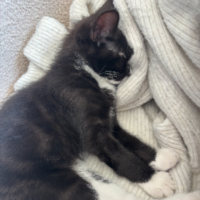 photo-chat-may