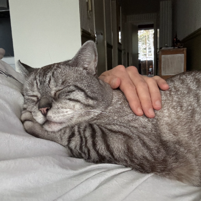 photo-chat-jérôme 
